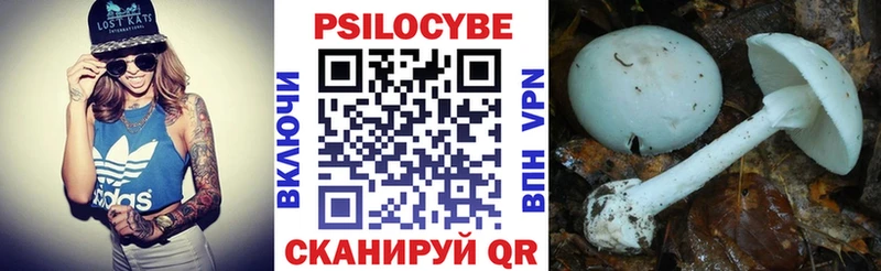 Псилоцибиновые грибы Psilocybe гидра зеркало Белогорск купить цена